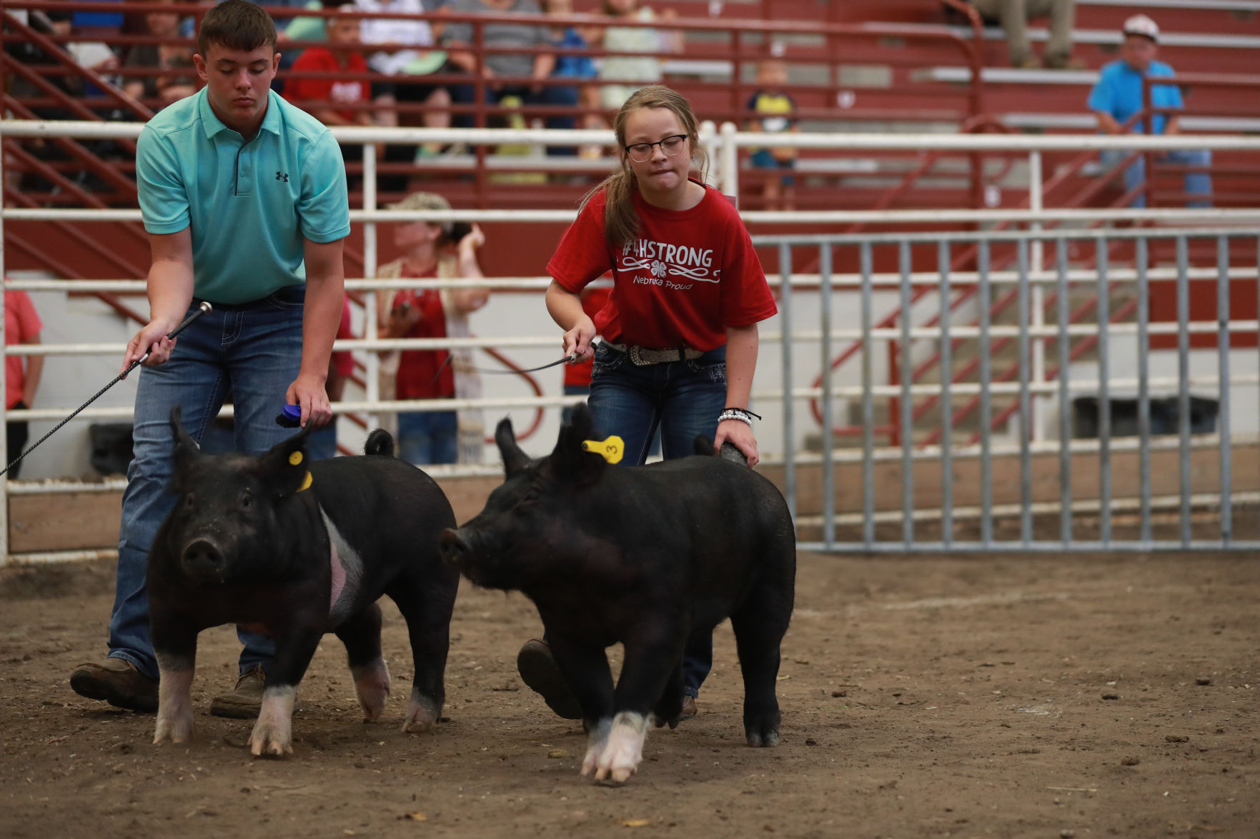 071119_HallCoFair11_bjs.JPG
